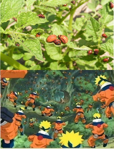 RheHbgW.jpg