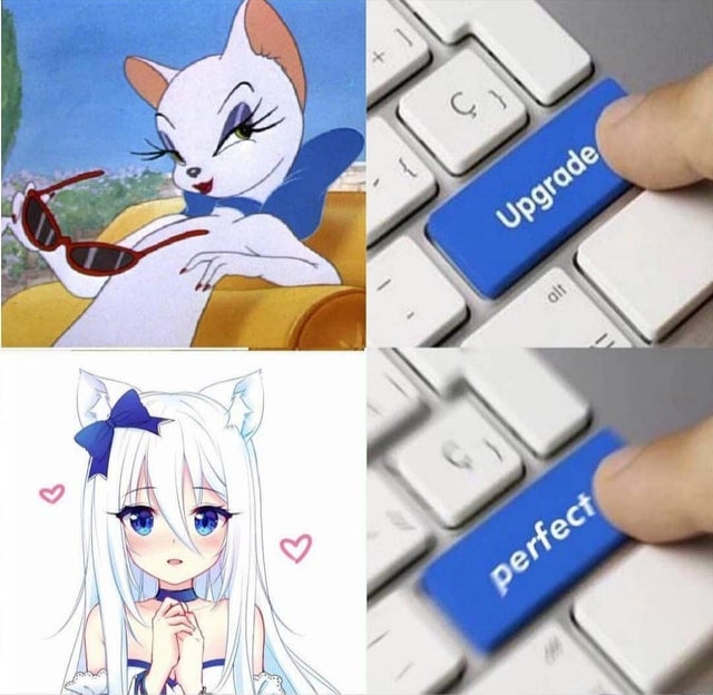 ap4ZDF4.jpg