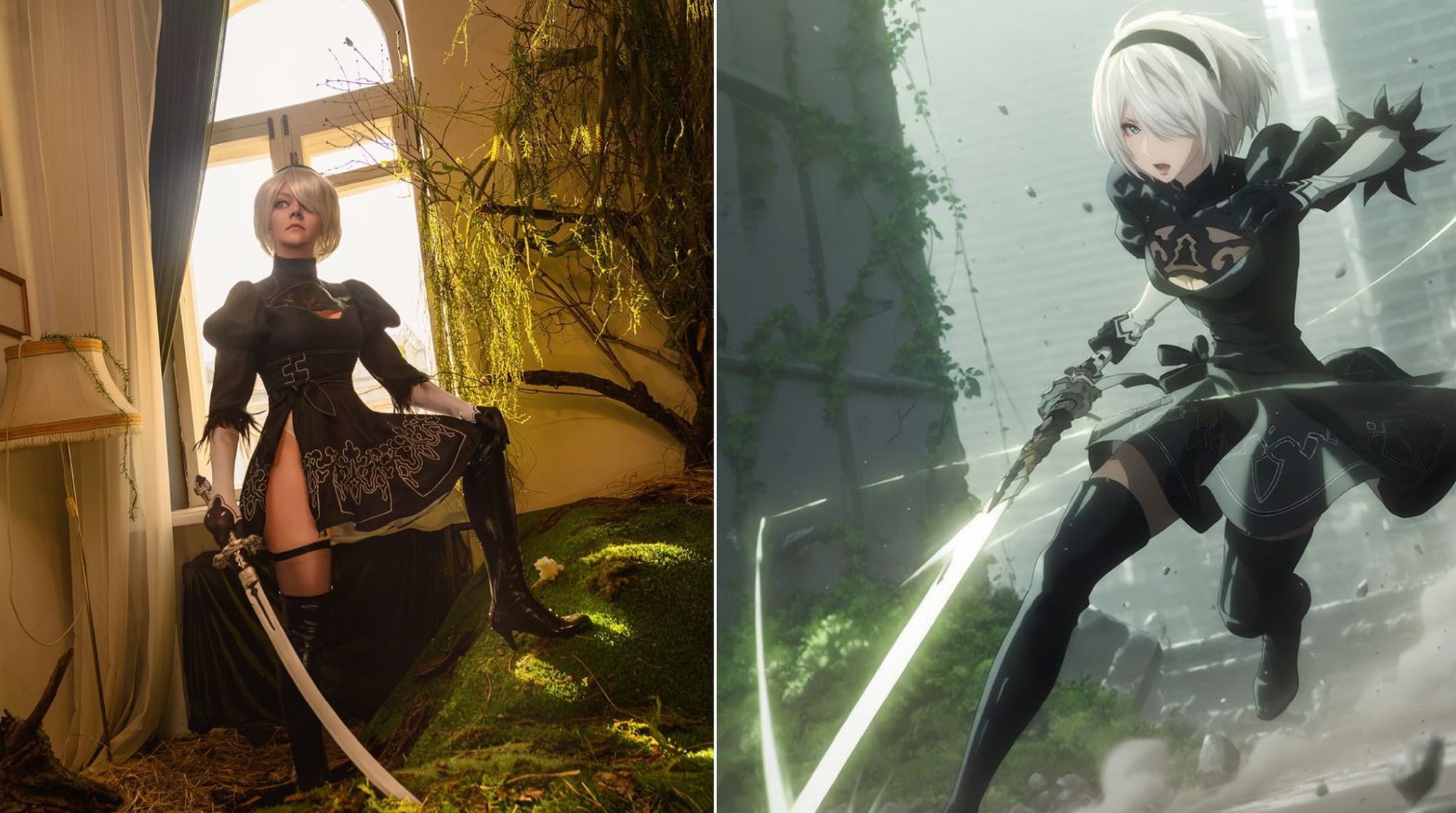 ZeD2wg1.jpeg